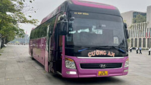 Nhà Xe Cường An